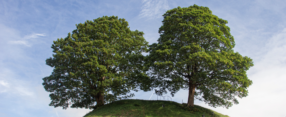 Mound E1680174853333