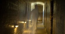 Paranormal Scaled E1600363190141 1024X540