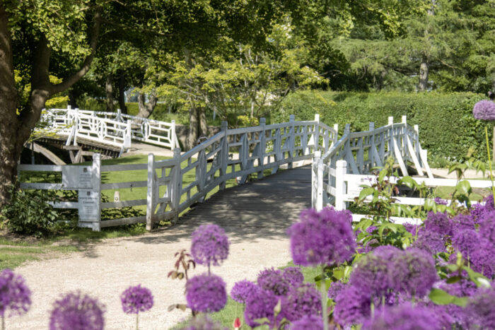 A sunny summer day photo of the bridge within the Magdalen College School. Large purple alliums are tucked within the foreground of the image, contrasting the white bridge and luscious green grass. 